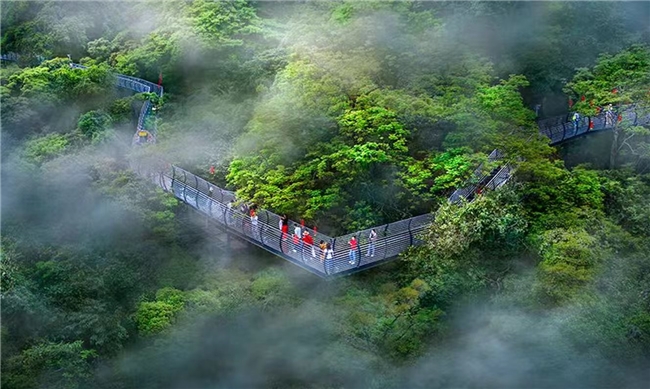 2026“琼中杯”雨林穿越登山徒步活动即将启幕 解锁海南中部生态文旅新体验