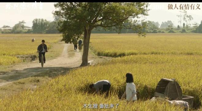 人人都说是近年国产片最佳，此言不虚
