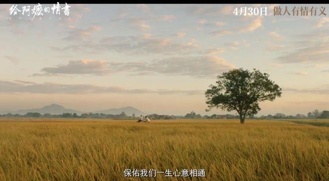人人都说是近年国产片最佳，此言不虚