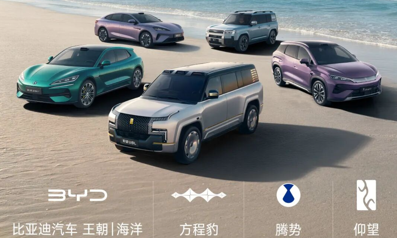 王传福：比亚迪五年内将成全球最大车企