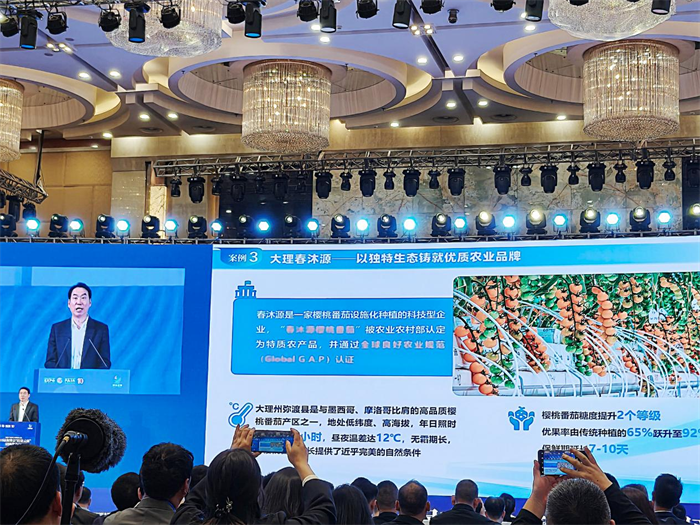 春沐源樱桃番茄亮相南博会，获云南省常务副省长开幕式点赞推荐