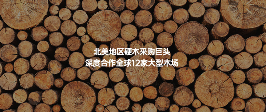 1781743000542176.png dd2d0104-db01-4af4-9d45-7479d7b414f3.png