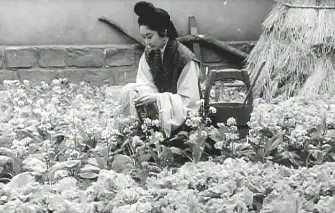 华语片历史上,这也是前几名的作品 华语片历史上,这也是前几名的作品