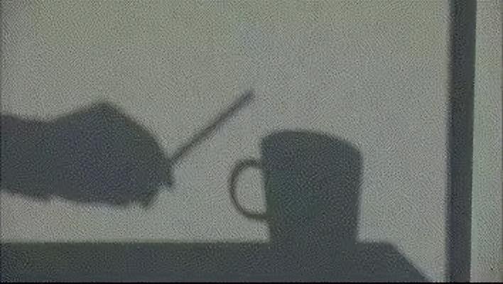 有远见的家长，暑假都在给孩子“养嘴”，这6部纪录片喂出大格局