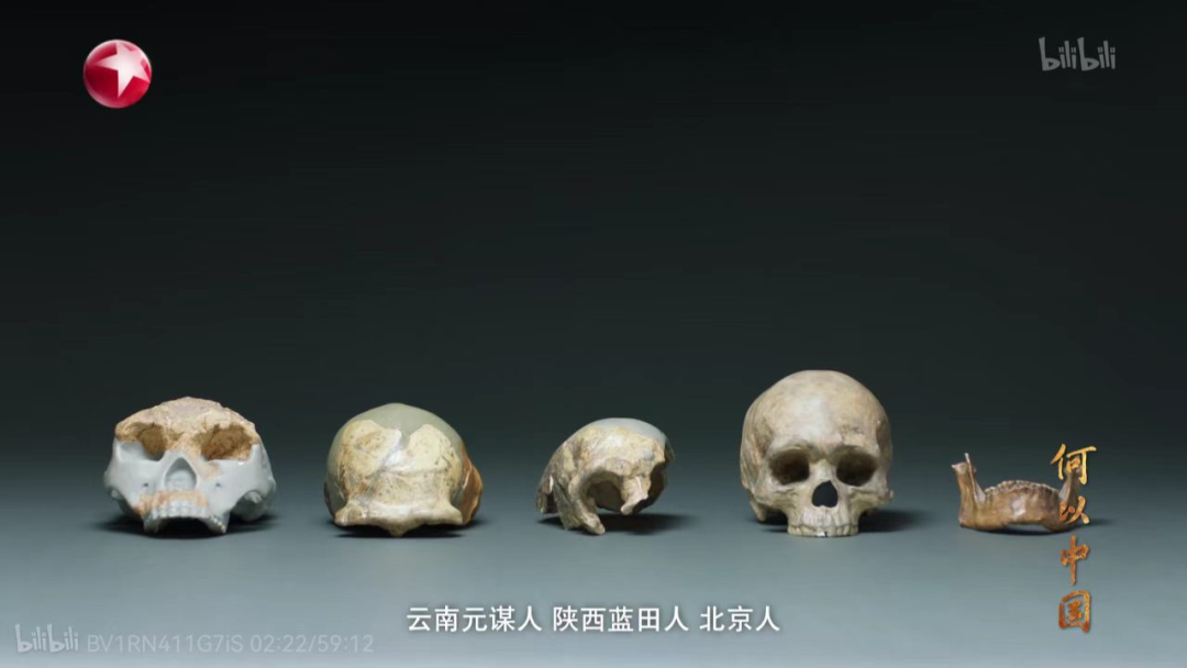 有远见的家长，暑假都在给孩子“养嘴”，这6部纪录片喂出大格局