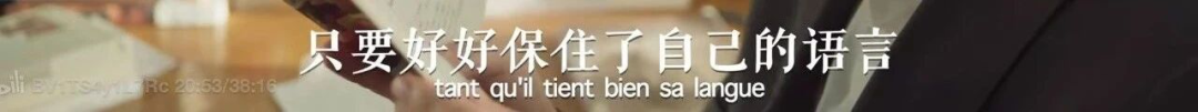 有远见的家长，暑假都在给孩子“养嘴”，这6部纪录片喂出大格局