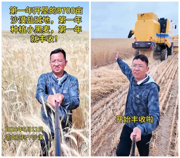 以科技护科研，阿玛迪斯助力沙漠小黑麦科研团队