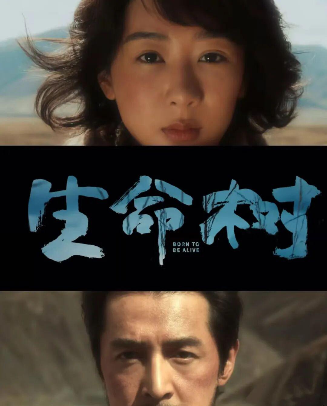 白玉兰首个90后视后！杨紫凭什么赢的?