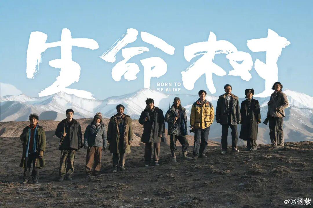 白玉兰首个90后视后！杨紫凭什么赢的?