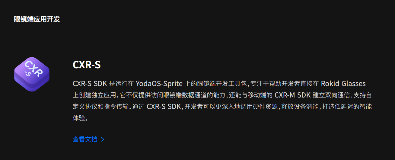 路线分野与终局迷雾:Rokid不想做下一个黑莓