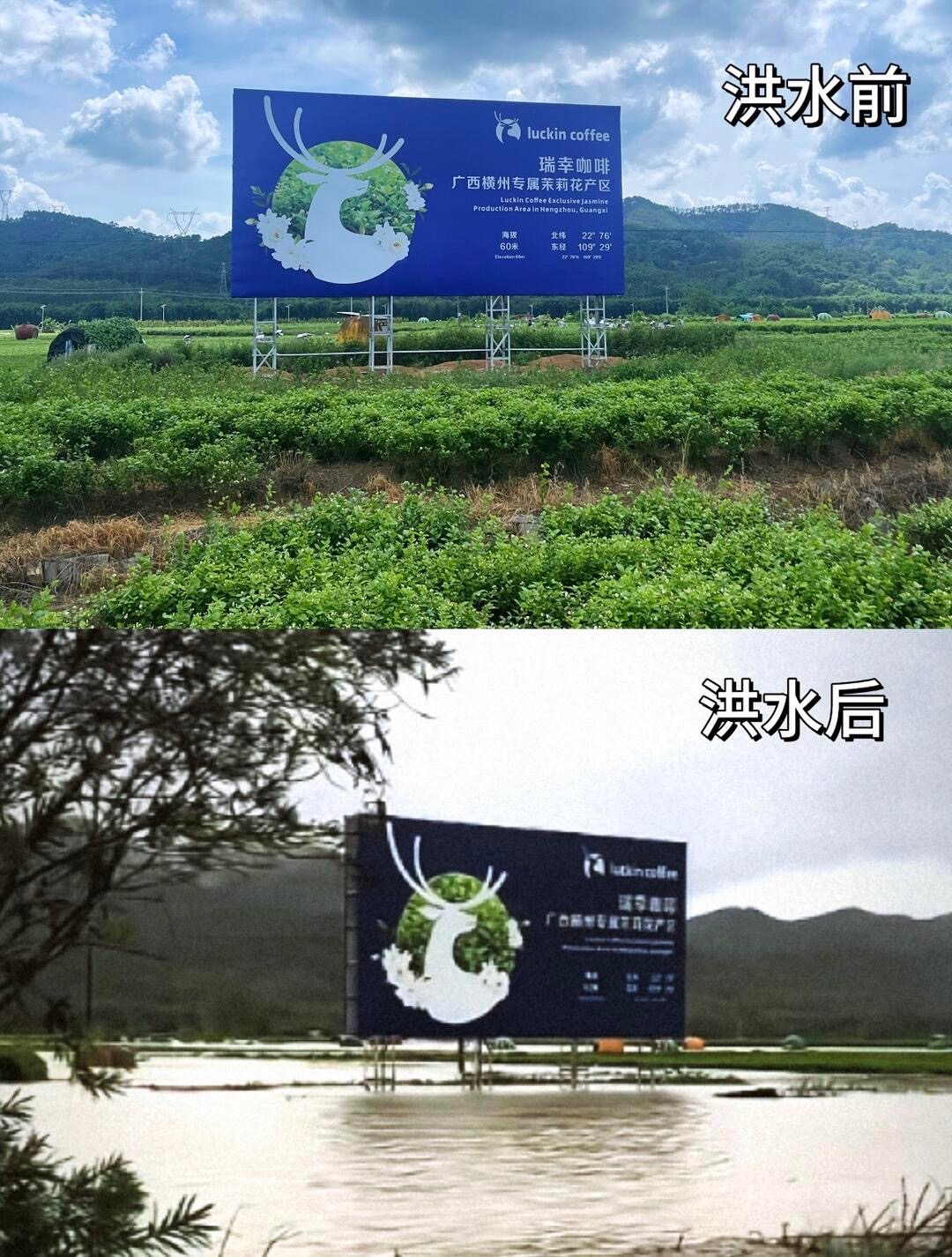 190亿产值：横州***凭什么“拿捏”全国茶饮？